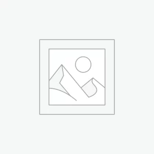 Printed Maroon Tshirt